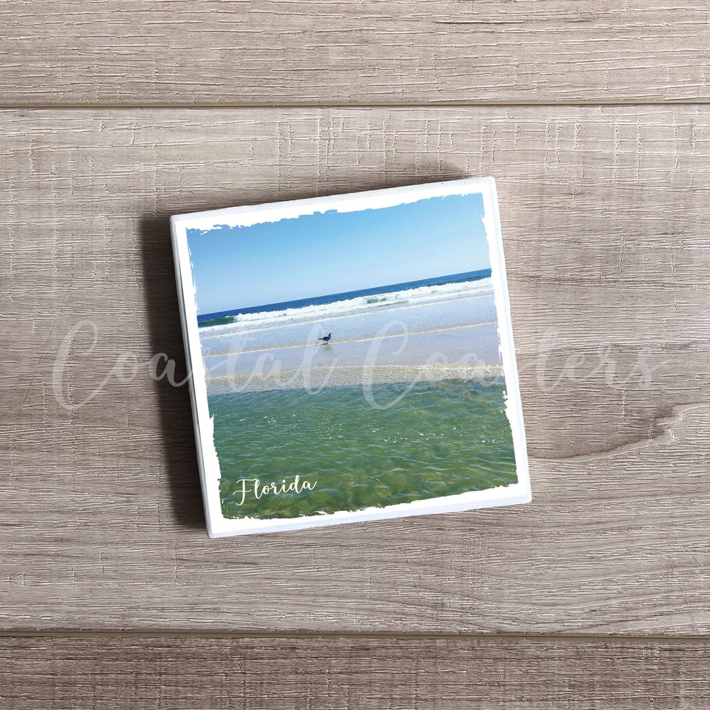 Florida Gulf of America with seagull