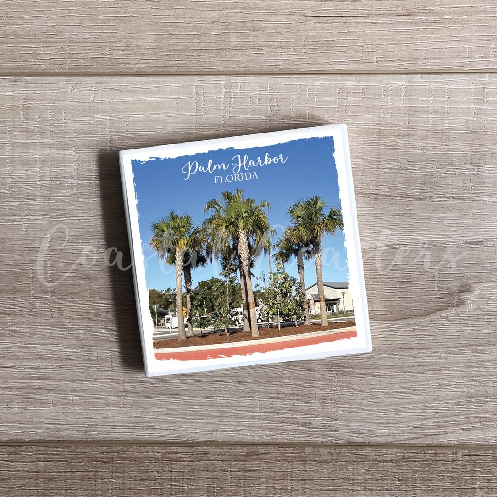 Palm Harbor Florida Avenue Palm Trees at the Heart of Palm Harbor